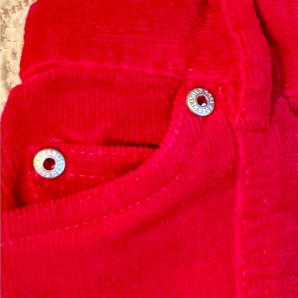 The Children’s Place corduroy skirts size 4. One Red and one pink multi.